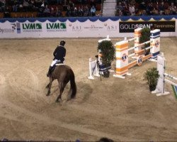 jumper Lordana (Hanoverian, 2004, from Lordanos)