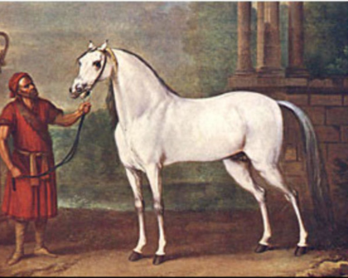 Deckhengst Crab xx (Englisches Vollblut, 1722, von Alcock's Arabian ox)