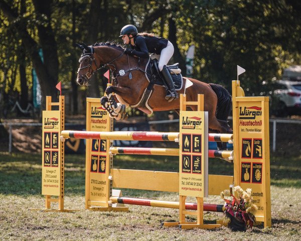 broodmare Cobette (German Sport Horse, 2010, from Chacito)