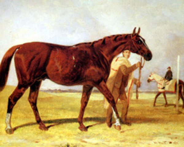 horse Rataplan xx (Thoroughbred, 1850, from The Baron xx)
