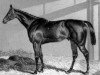 horse Sweetmeat xx (Thoroughbred, 1842, from Gladiator xx)