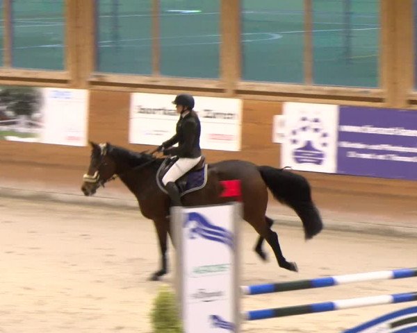 Reitturnier Rüti 2022