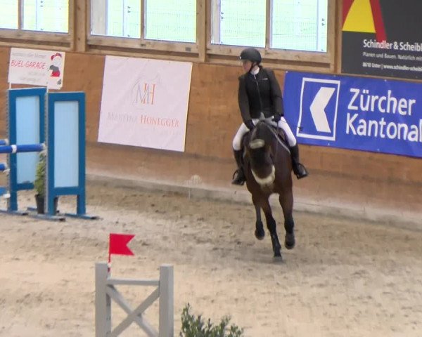 Reitturnier Rüti 2022