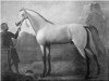 stallion Oxford Dun Arabian xx (Thoroughbred, 1710)