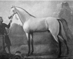 Deckhengst Oxford Dun Arabian xx (Englisches Vollblut, 1710)