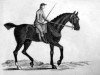 stallion Sampson xx (Thoroughbred, 1746, from Blaze xx)