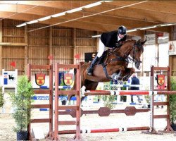 jumper Tinka's Belle CH (Swiss Warmblood, 2012, from Tinka's Boy)