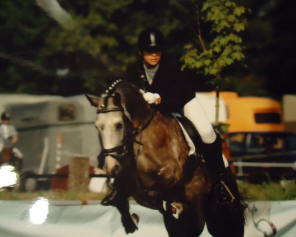 broodmare Nika 14 (German Riding Pony, 2004, from Nantano)