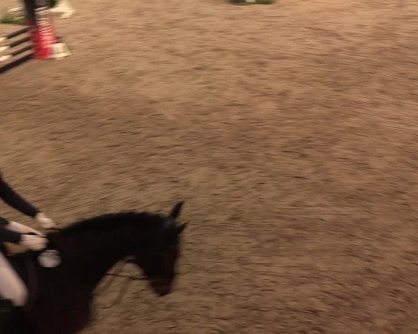 4. Nordic Jumping event Negernbötel 2022