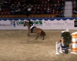 jumper Primeval What Exclusive (KWPN (Royal Dutch Sporthorse), 2003, from Indoctro)