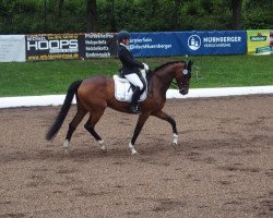 dressage horse Aprilia 8 (Bavarian, 2010, from Acordelli)