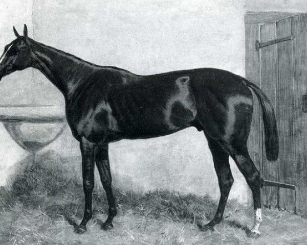 stallion Thormanby xx (Thoroughbred, 1857, from Windhound xx)