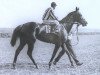 horse Aditja xx (Thoroughbred, 1925, from Fervor xx)