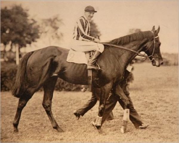 Pferd Arjaman xx (Englisches Vollblut, 1930, von Herold xx)