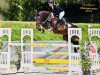 jumper Atc's Corsica G (Hanoverian, 2016, from Cormint)