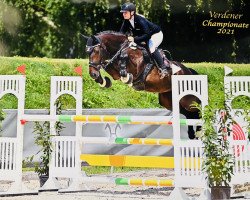 jumper Atc's Corsica G (Hanoverian, 2016, from Cormint)