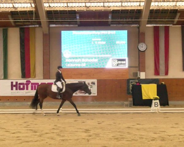 Reitturnier Weikersdorf am Steinfelde 2022