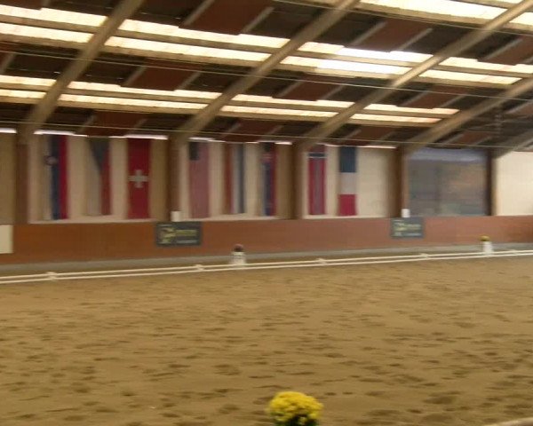 Reitturnier Weikersdorf am Steinfelde 2022