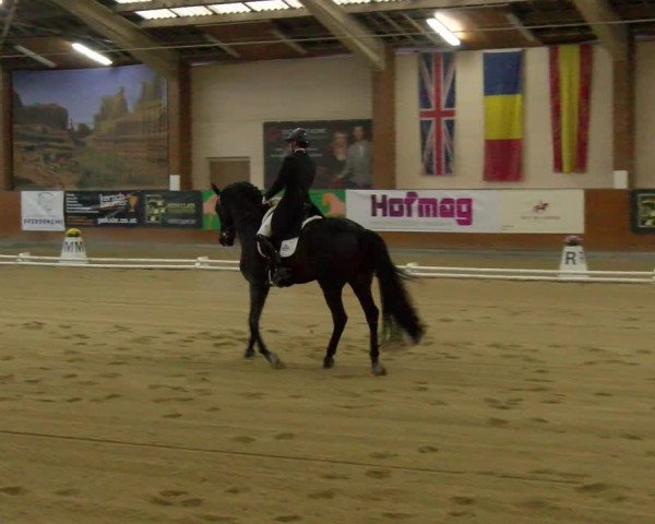 Reitturnier Weikersdorf am Steinfelde 2022