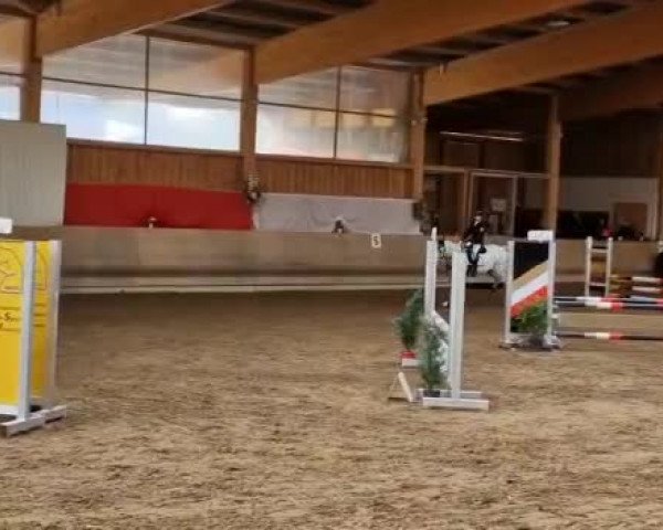 Reitturnier Schwendi 2022