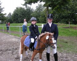 dressage horse Basko (Shetland Pony, 2006, from Bristel v. d. Geest)