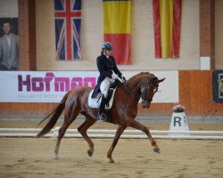 dressage horse Love Story JDH (Hanoverian, 2013, from Londontime)