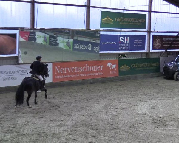 5. Nordic Jumping event Negernbötel 2022