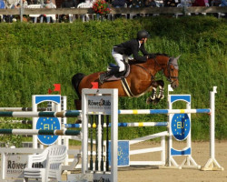 jumper Vitali 25 (Oldenburg show jumper, 2013, from Valeron)