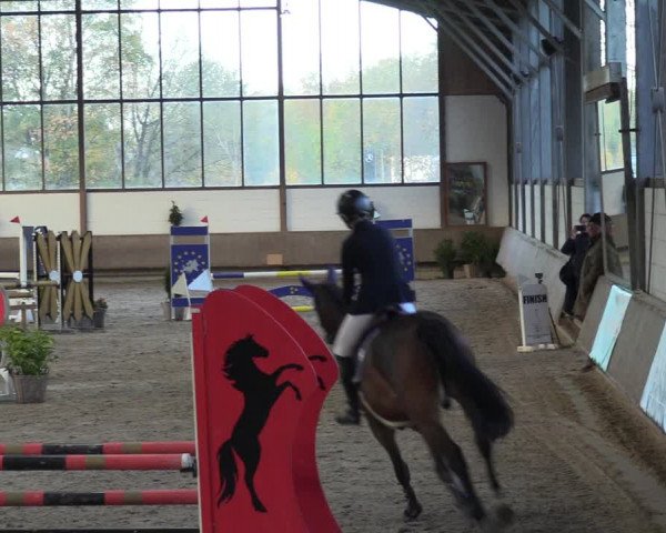 Reitturnier Langenfeld - Gut Langfort 2022