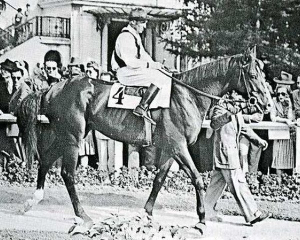horse Niccolo Dell'Arca xx (Thoroughbred, 1938, from Coronach xx)
