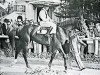 stallion Niccolo Dell'Arca xx (Thoroughbred, 1938, from Coronach xx)