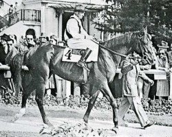 stallion Niccolo Dell'Arca xx (Thoroughbred, 1938, from Coronach xx)