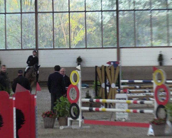 Reitturnier Langenfeld - Gut Langfort 2022
