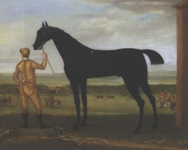 stallion Basto xx (Thoroughbred, 1702, from Byerley Turk xx)