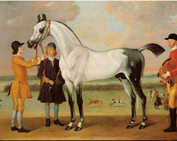 stallion Boltons Starling xx (Thoroughbred, 1727, from Bay Bolton xx)