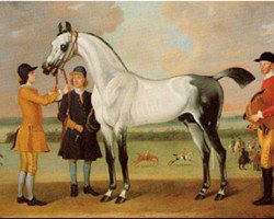 stallion Boltons Starling xx (Thoroughbred, 1727, from Bay Bolton xx)