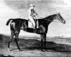 broodmare Eleanor xx (Thoroughbred, 1798, from Whiskey xx)