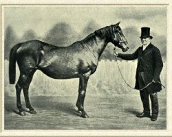 broodmare Pocahontas xx (Thoroughbred, 1837, from Glencoe xx)