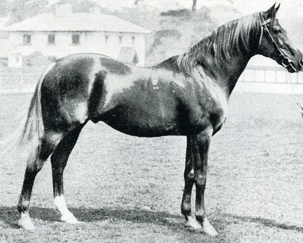 stallion Bend Or xx (Thoroughbred, 1877, from Doncaster xx)