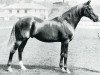 horse Bend Or xx (Thoroughbred, 1877, from Doncaster xx)