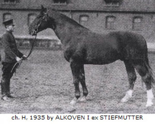 horse Abendsport 3109 (Hanoverian, 1935, from Alkoven I)