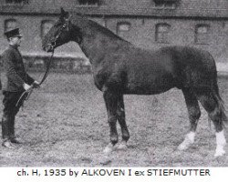 stallion Abendsport 3109 (Hanoverian, 1935, from Alkoven I)