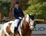 dressage horse Smiling Charlie (unknown, 2011)