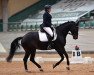 dressage horse Blueberry 31 (German Sport Horse, 2015, from Diamond Ruby)