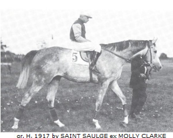horse Rittersporn xx (Thoroughbred, 1917, from Saint Saulge xx)