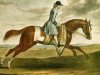 stallion Crofts Partner xx (Old Partner xx) (Thoroughbred, 1718, from Jigg xx)