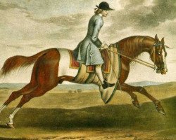 stallion Crofts Partner xx (Old Partner xx) (Thoroughbred, 1718, from Jigg xx)