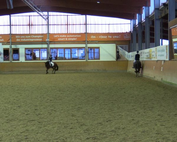 Reitturnier Appelhülsen 2022