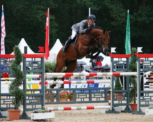 stallion Con Chello (Bavarian, 2005, from Chello I)