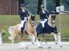 dressage horse Dujardin B (German Riding Pony, 2006, from Deinhard B)